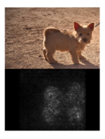 Image-specific Saliency Map shows pixels that are most important for the image being classified as a dog. Source: https://arxiv.org/pdf/1312.6034.pdf.